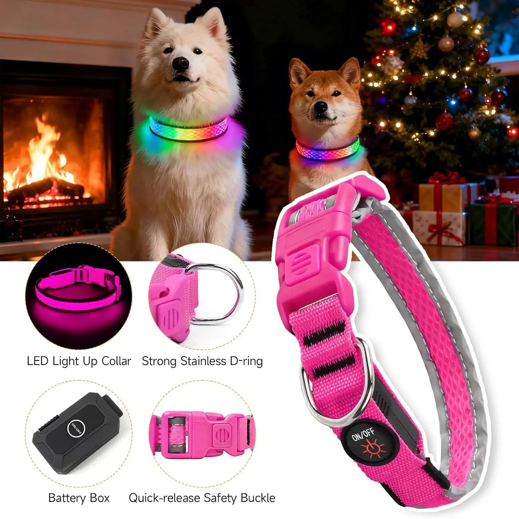 GIOVORA LED Dog Collar