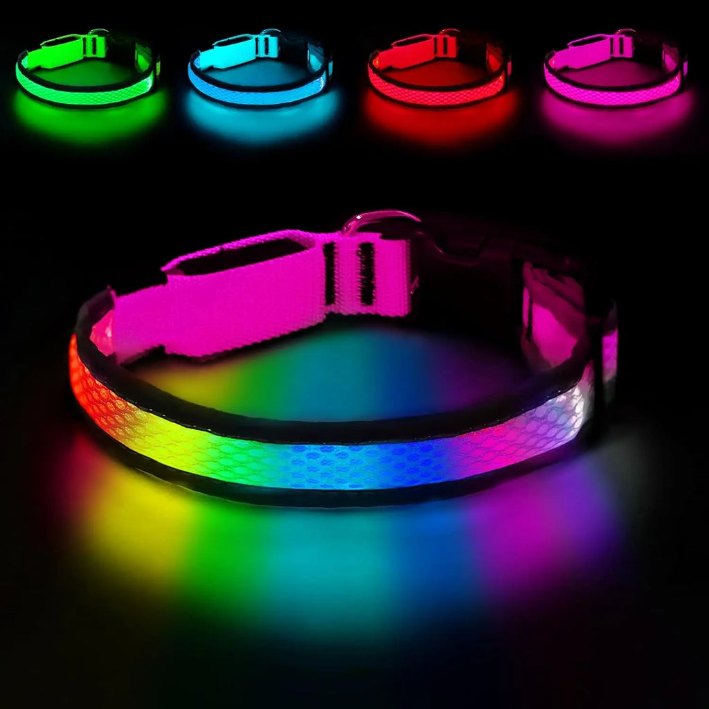 GIOVORA LED Dog Collar