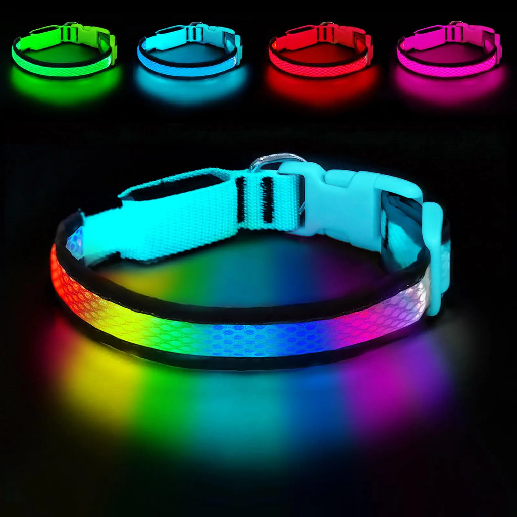 GIOVORA LED Dog Collar