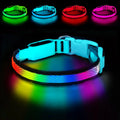 GIOVORA LED Dog Collar