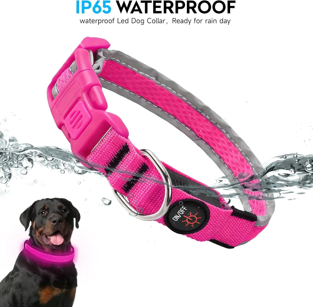 GIOVORA LED Dog Collar