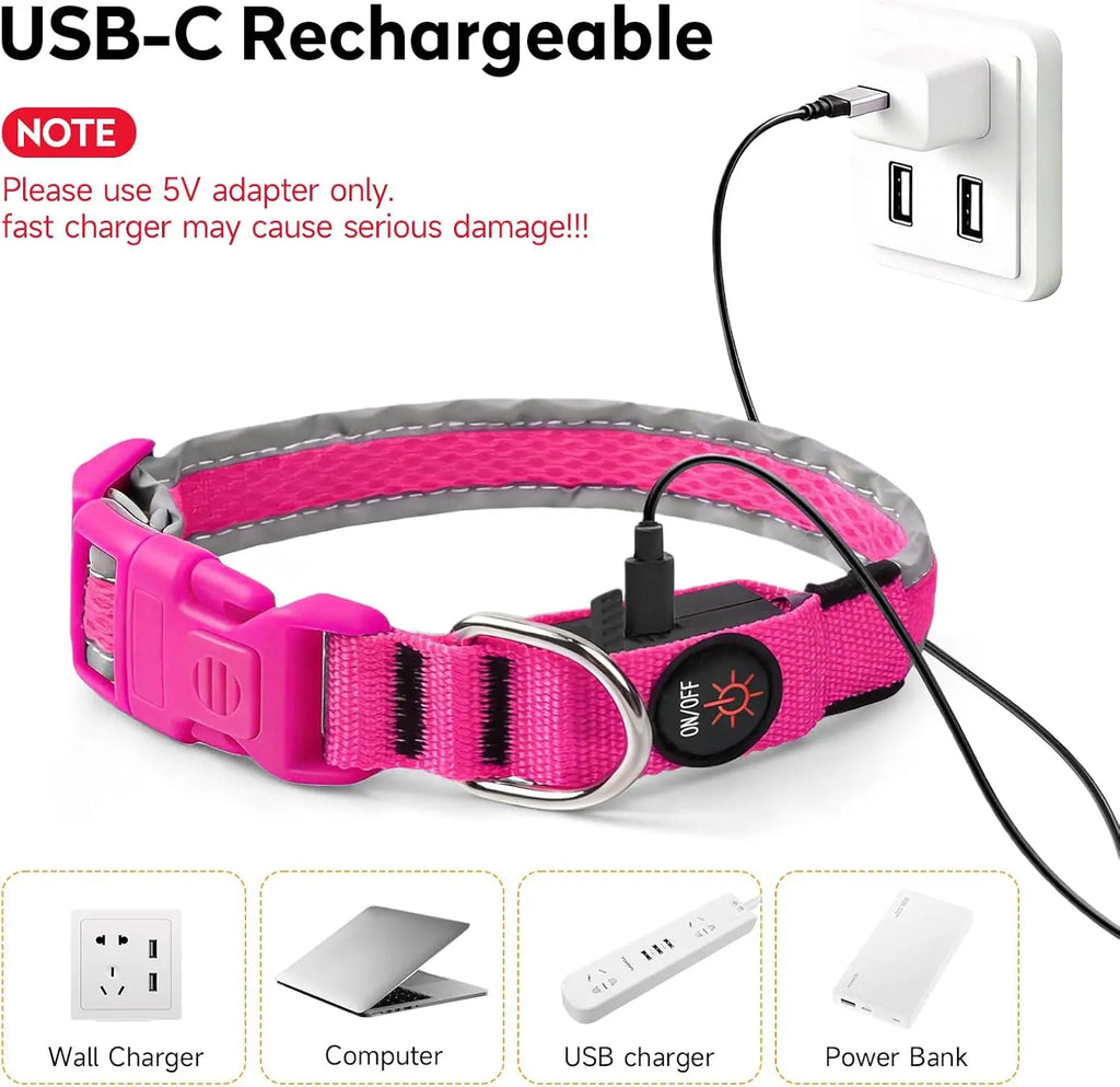 GIOVORA LED Dog Collar