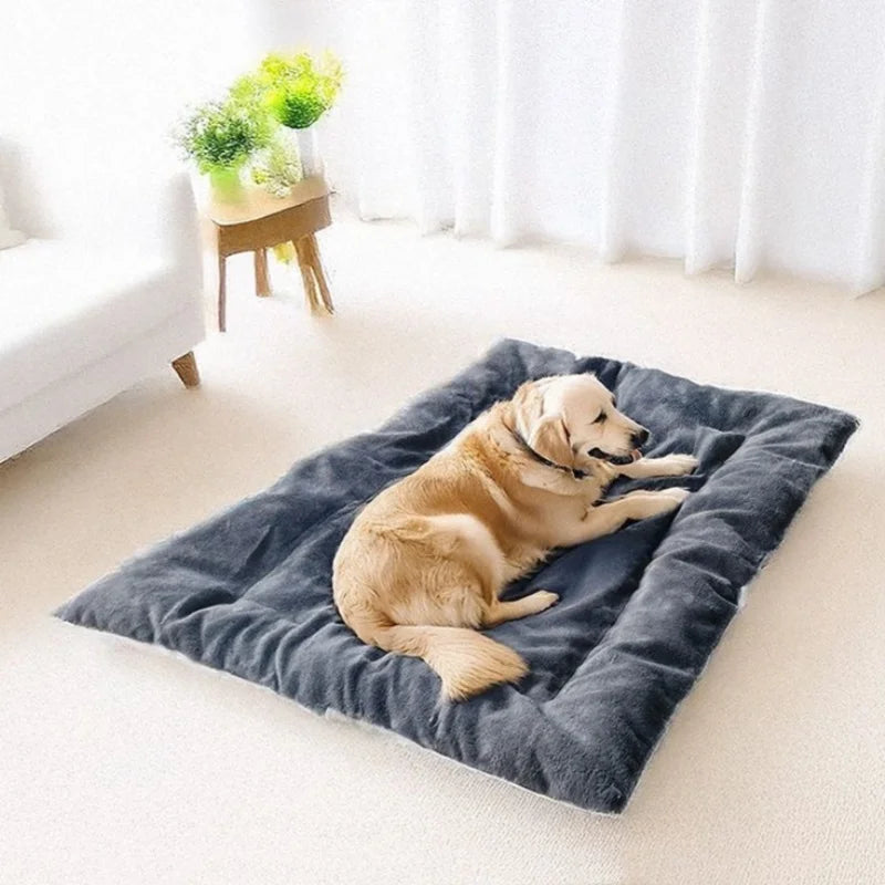 GIOVORA Orthopedic Pet Bed