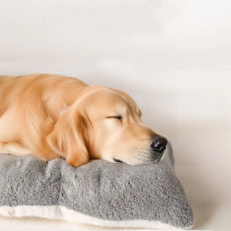 GIOVORA Orthopedic Pet Bed