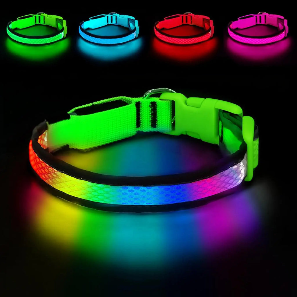 GIOVORA LED Dog Collar