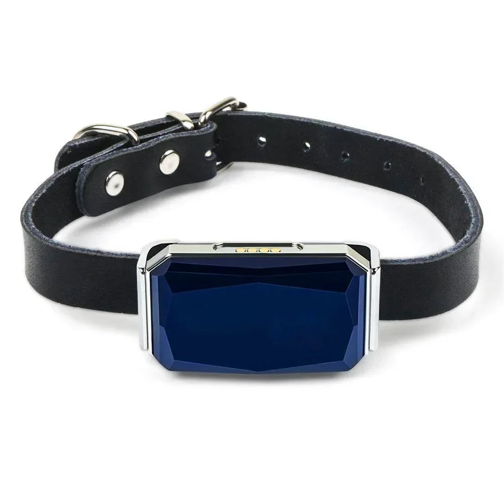 GIOVORA Pet GPS Tracker