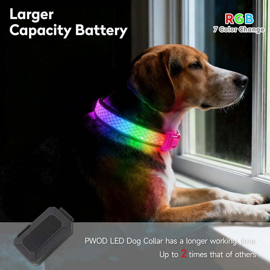 GIOVORA LED Dog Collar