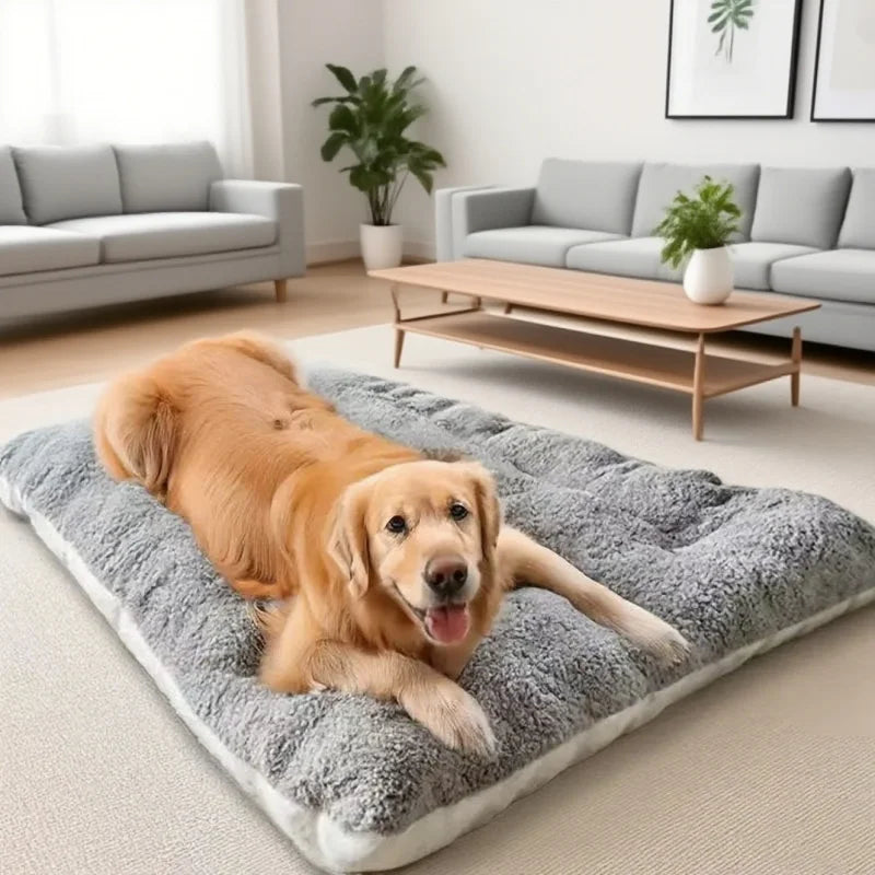 GIOVORA Orthopedic Pet Bed
